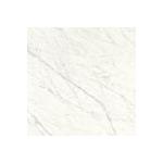 P17C-Vetro-Ceramica marmo bianco alpi